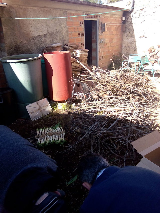 Calçotada 2019 (09)